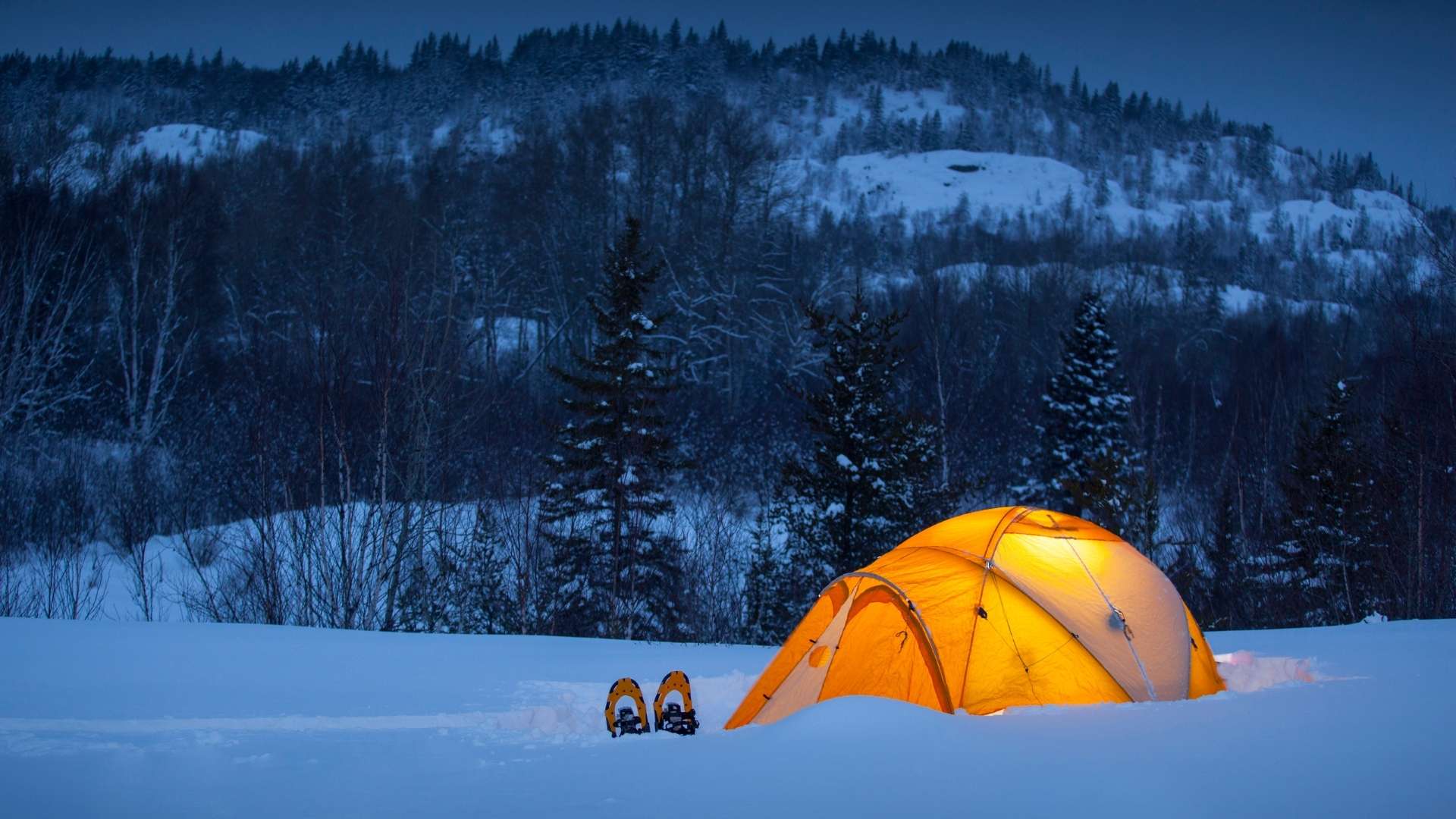 Winter Camping Trip The Ultimate Guide To Northern Canada